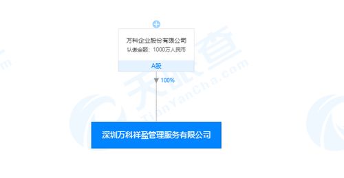 每日新注冊(cè)公司精選 | 2019年11月19日 軟件外包服務(wù)領(lǐng)域的創(chuàng)新力量